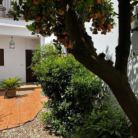 Acogedor Apartamento Junto A Plaza De San Agustin Córdoba Exterior foto