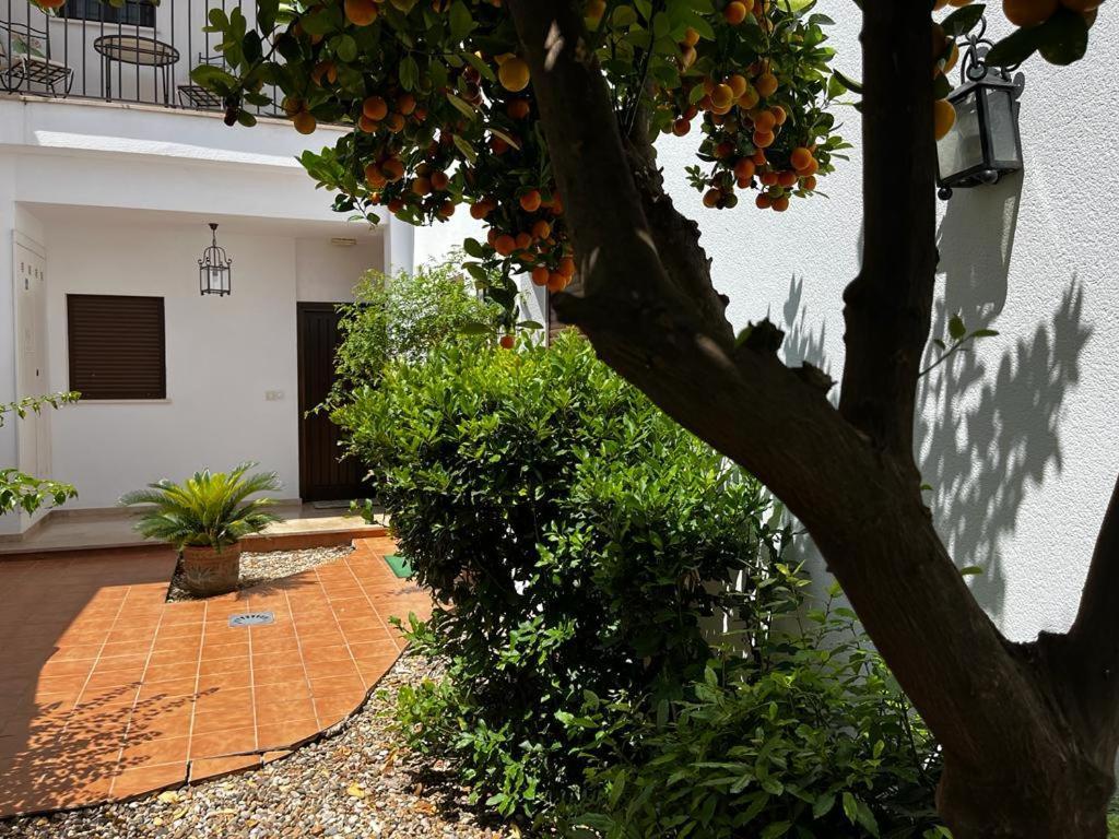 Acogedor Apartamento Junto A Plaza De San Agustin Córdoba Exterior foto