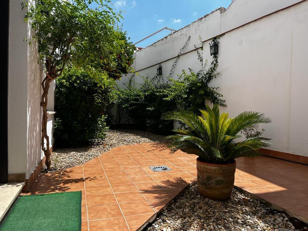 Acogedor Apartamento Junto A Plaza De San Agustin Córdoba Exterior foto