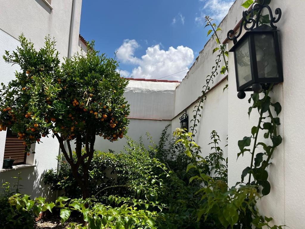 Acogedor Apartamento Junto A Plaza De San Agustin Córdoba Exterior foto