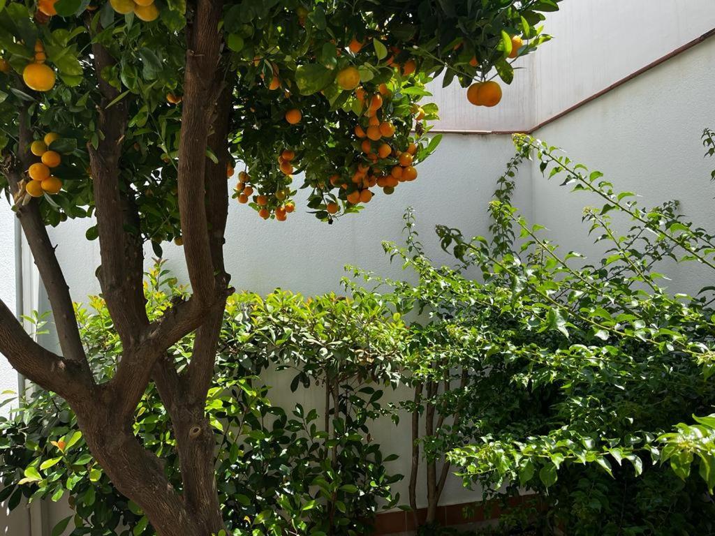 Acogedor Apartamento Junto A Plaza De San Agustin Córdoba Exterior foto