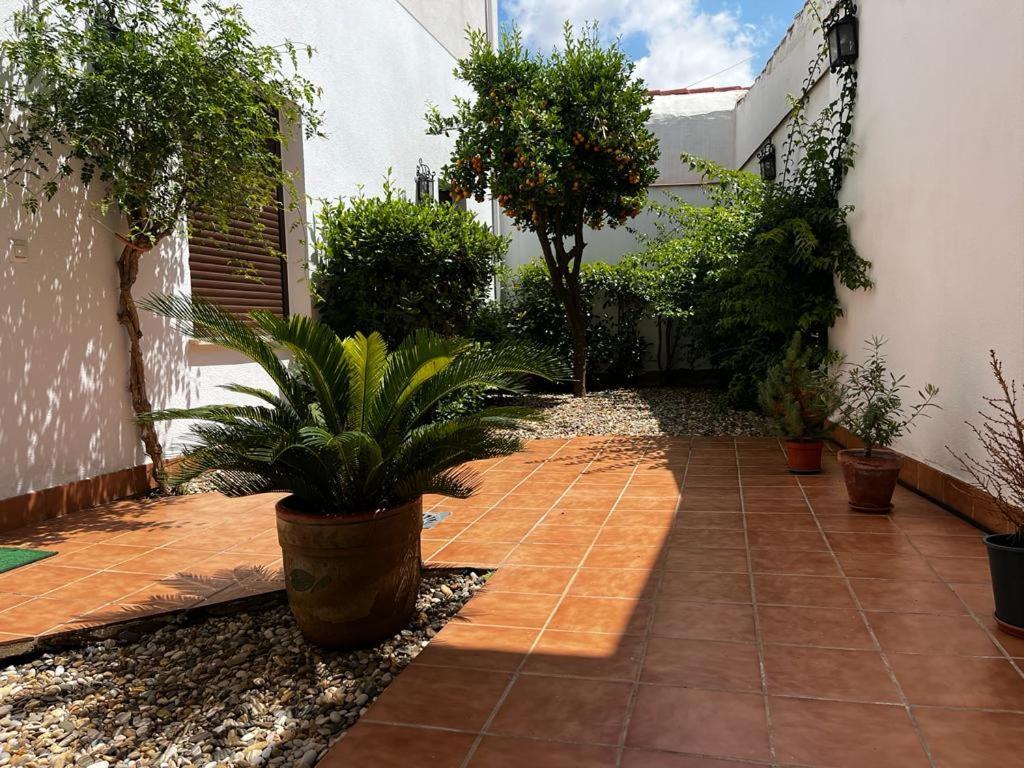 Acogedor Apartamento Junto A Plaza De San Agustin Córdoba Exterior foto